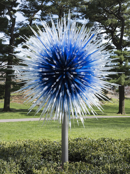Chihuly at the New York Botanical Gardens