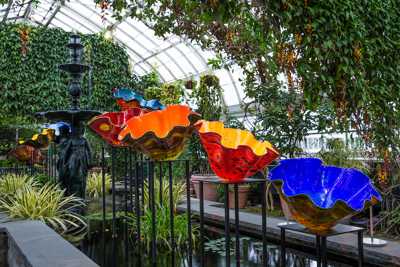 NYBG_CHIHULY_09-Macchia_Forest_2017