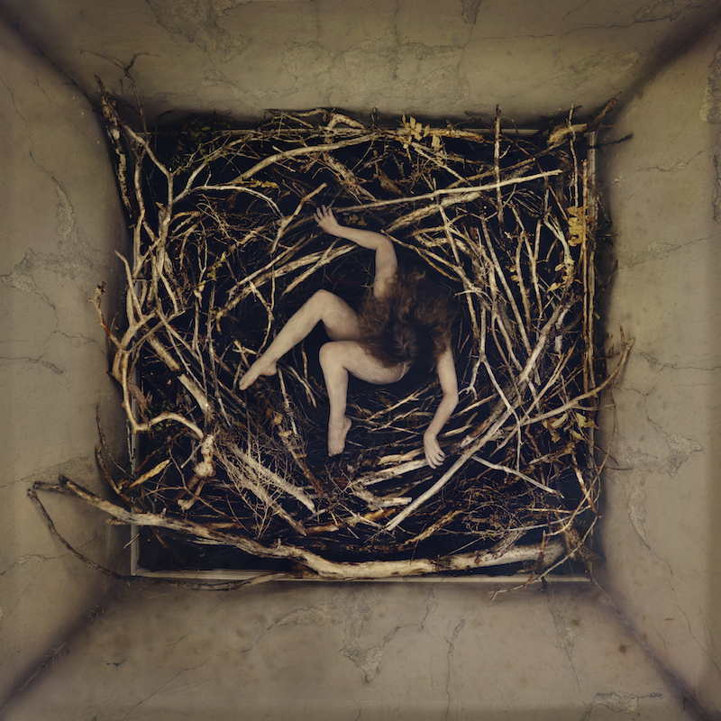remain (nest)